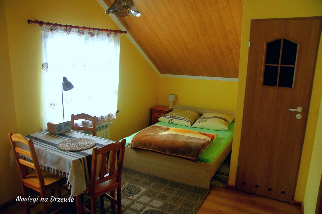 Noclegi Na Drzewie Cisna Εξωτερικό φωτογραφία